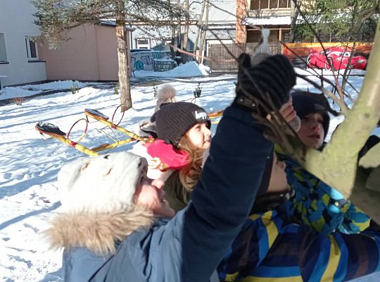 GR IV Dokarmiamy ptaki