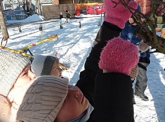 GR IV Dokarmiamy ptaki