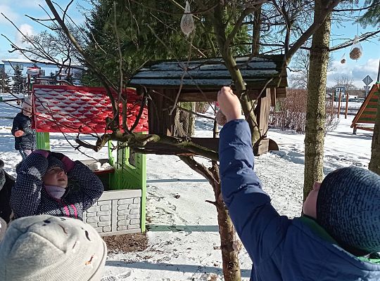 GR IV Dokarmiamy ptaki