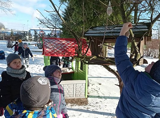 GR IV Dokarmiamy ptaki