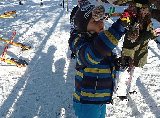 GR IV Dokarmiamy ptaki