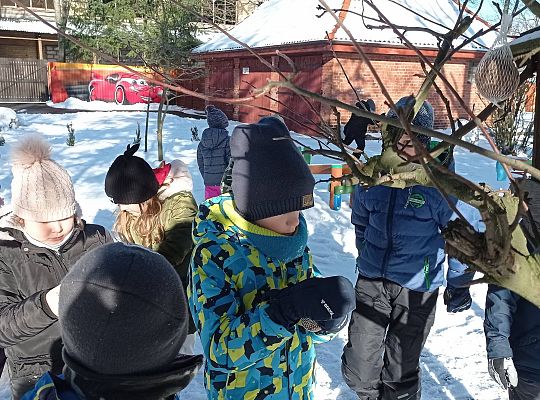 GR IV Dokarmiamy ptaki