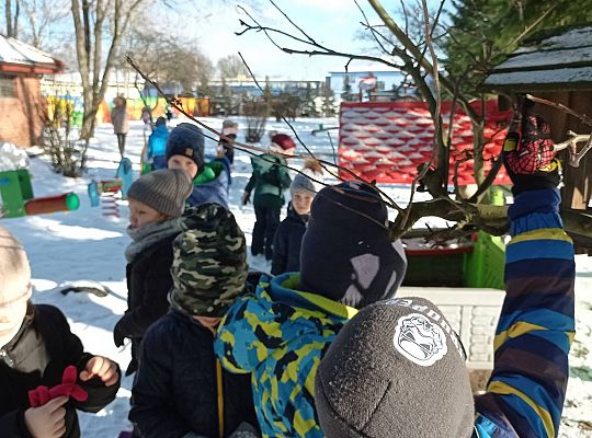 GR IV Dokarmiamy ptaki