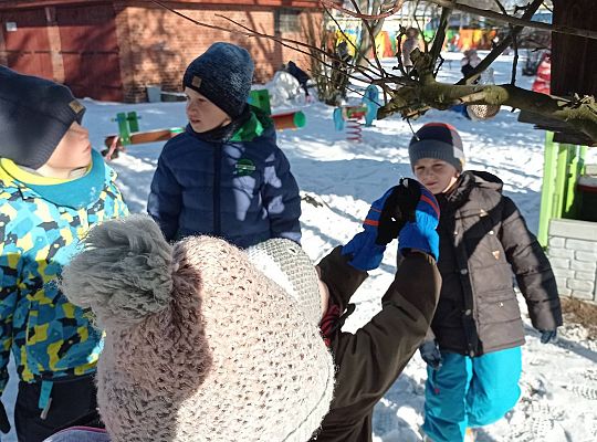 GR IV Dokarmiamy ptaki