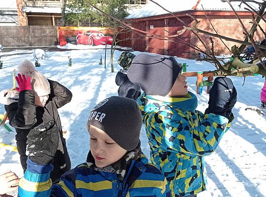 GR IV Dokarmiamy ptaki