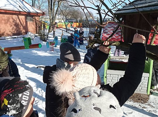 GR IV Dokarmiamy ptaki