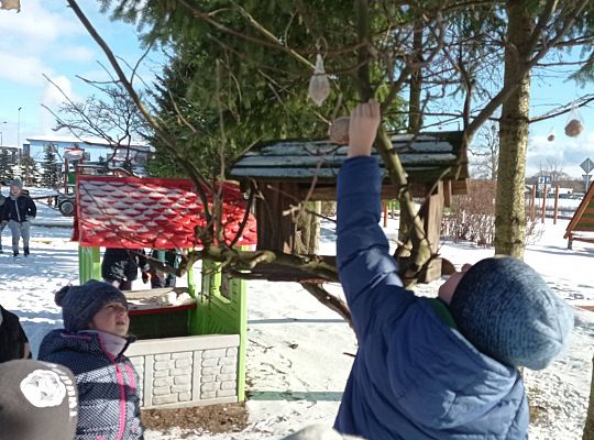 GR IV Dokarmiamy ptaki