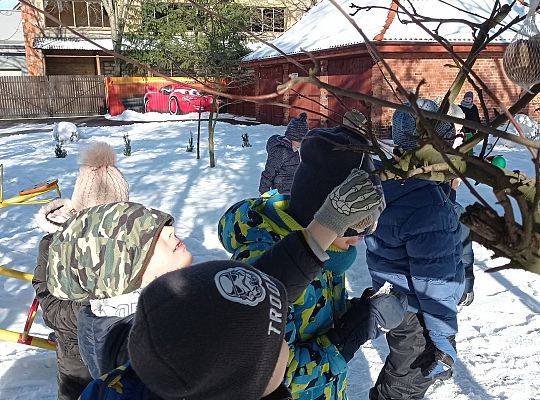 GR IV Dokarmiamy ptaki