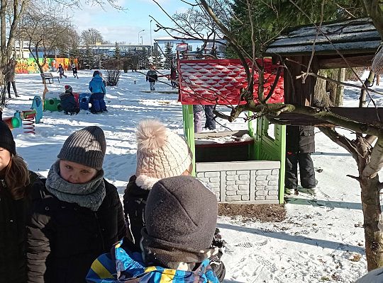 GR IV Dokarmiamy ptaki