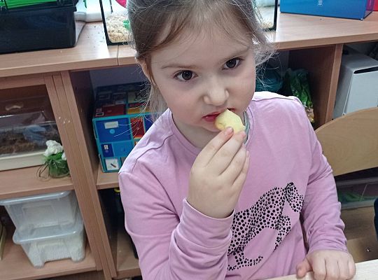 GR IV Urodzinki Kajtka