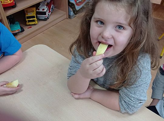 GR IV Urodzinki Kajtka