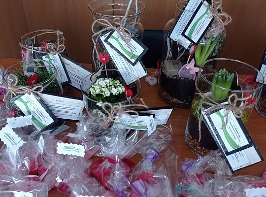 "Nadzieja dla Laury" - serduszka na Walentynki