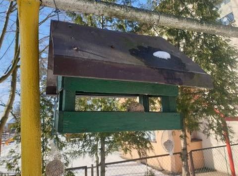 Gr I Dokarmiamy ptaki