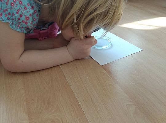 Gr II Sprawdzamy czy śnieg jest czysty tak samo jak biały