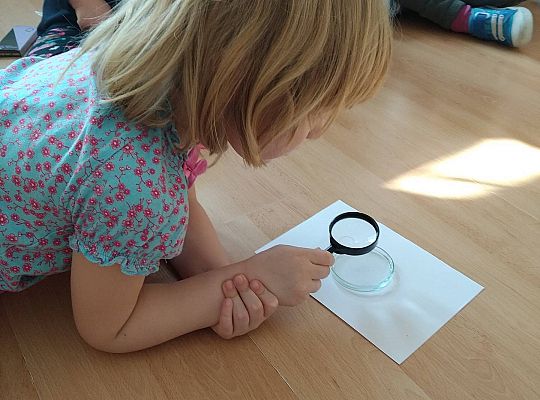 Gr II Sprawdzamy czy śnieg jest czysty tak samo jak biały