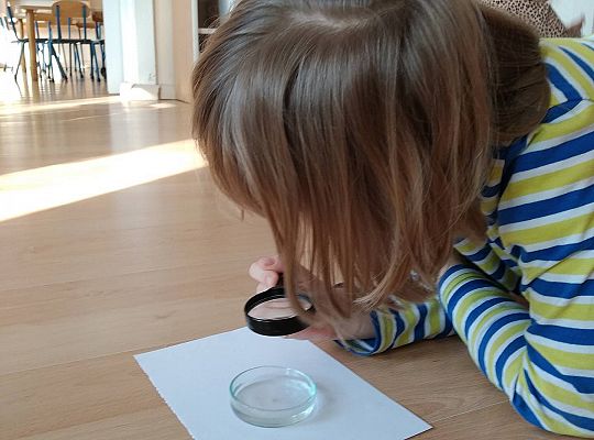 Gr II Sprawdzamy czy śnieg jest czysty tak samo jak biały