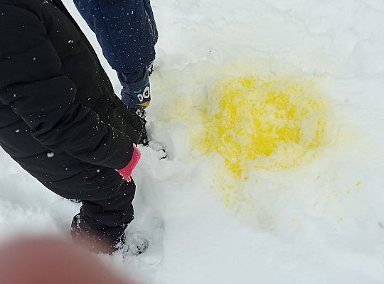 GR IV Malujemy na śniegu