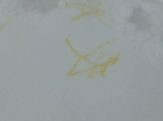 GR IV Malujemy na śniegu