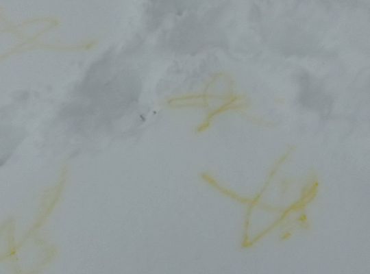 GR IV Malujemy na śniegu