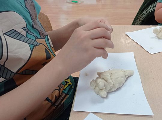 GR IV "Dzień Dinozaura"