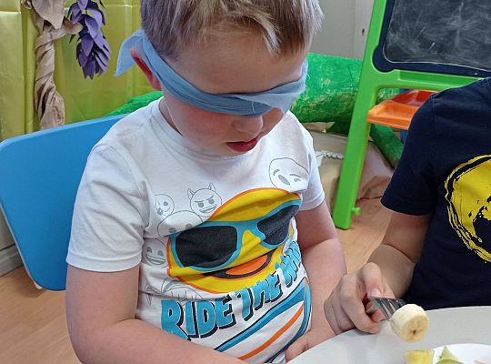 GR IV Kolejna nasza podróż, tym razem ciepłe kraje