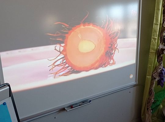 GR IV Kolejna nasza podróż, tym razem ciepłe kraje