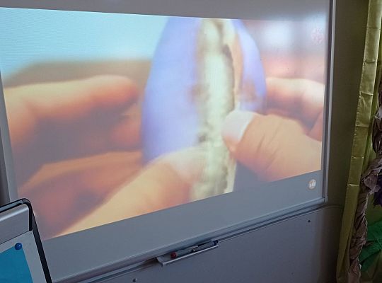 GR IV Kolejna nasza podróż, tym razem ciepłe kraje