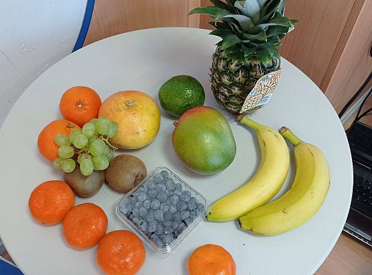 GR IV Kolejna nasza podróż, tym razem ciepłe kraje