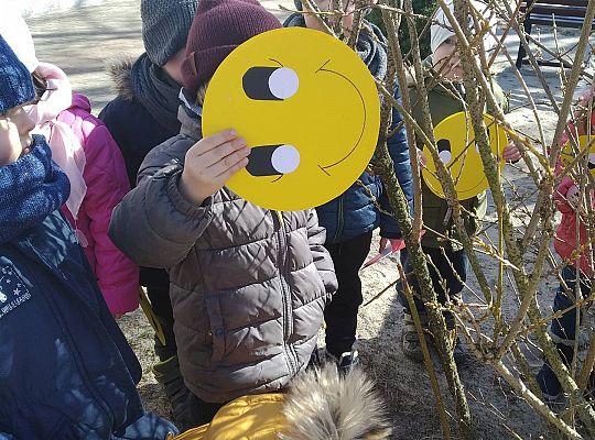 Gr II Witamy wiosnę