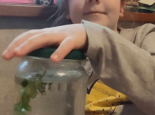 GR IV Fotorelacja pracy w domu 24.03-26.03