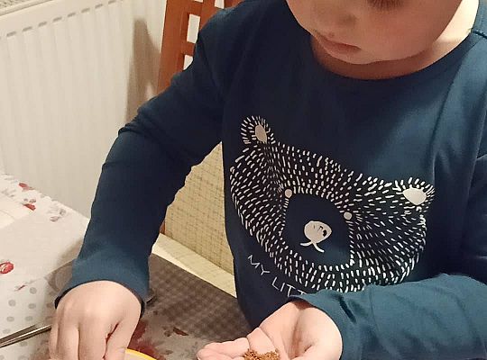 GR IV Fotorelacja pracy w domu 24.03-26.03