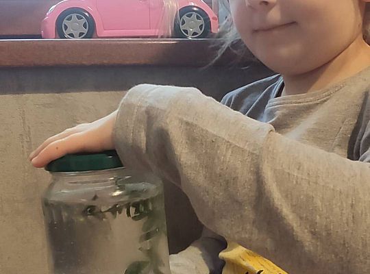 GR IV Fotorelacja pracy w domu 24.03-26.03