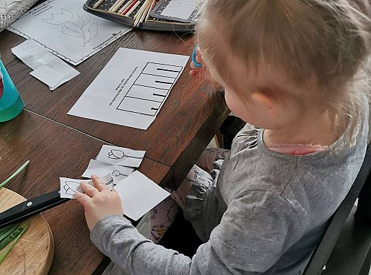 Gr II Fotorelacja z pracy w domu