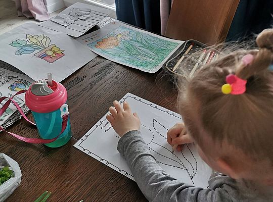 Gr II Fotorelacja z pracy w domu