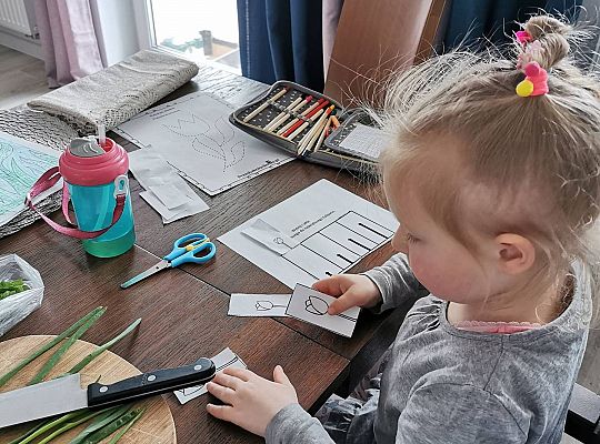 Gr II Fotorelacja z pracy w domu