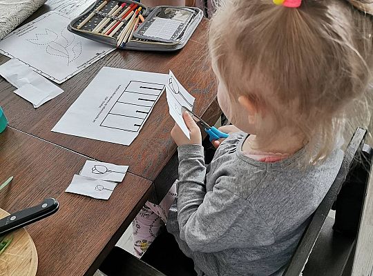 Gr II Fotorelacja z pracy w domu