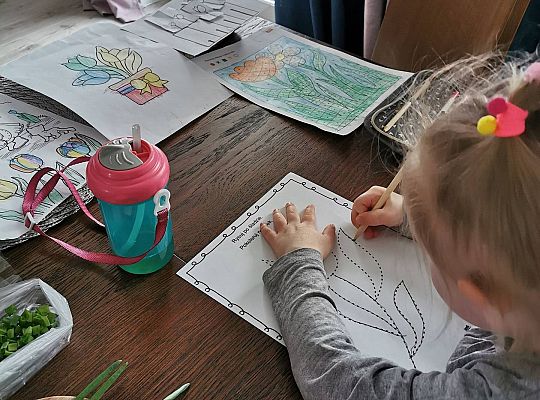 Gr II Fotorelacja z pracy w domu