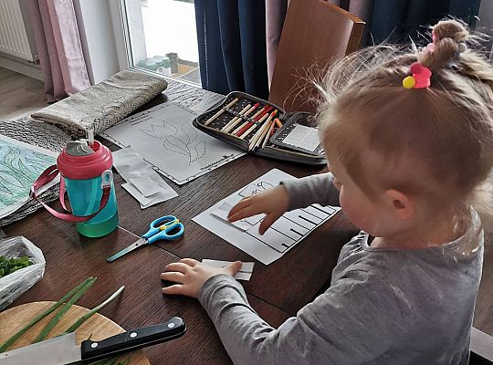 Gr II Fotorelacja z pracy w domu