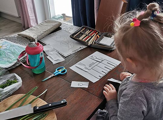 Gr II Fotorelacja z pracy w domu