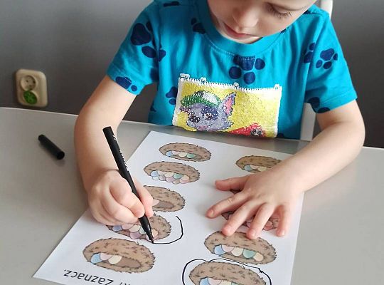 Gr II Fotorelacja z pracy w domu