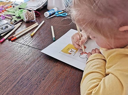 Gr II Fotorelacja z pracy w domu