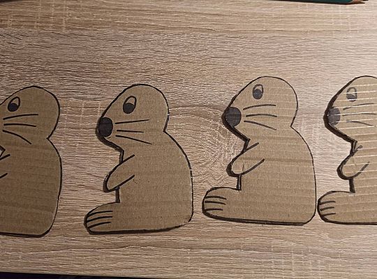 Gr II Fotorelacja z pracy w domu