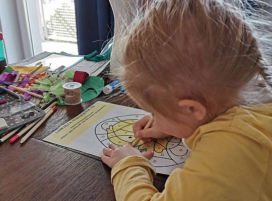 Gr II Fotorelacja z pracy w domu