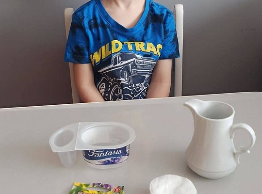 Gr II Fotorelacja z pracy w domu