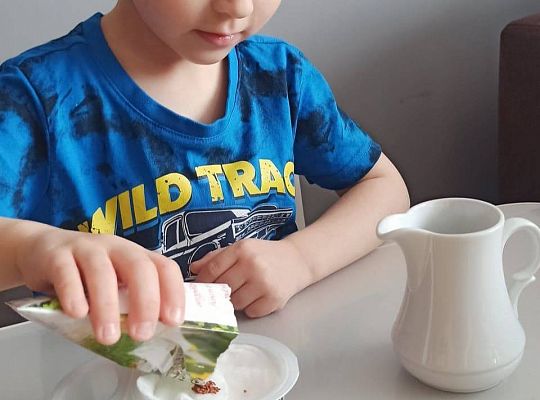 Gr II Fotorelacja z pracy w domu