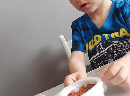 Gr II Fotorelacja z pracy w domu