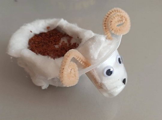 Gr II Fotorelacja z pracy w domu