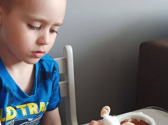 Gr II Fotorelacja z pracy w domu