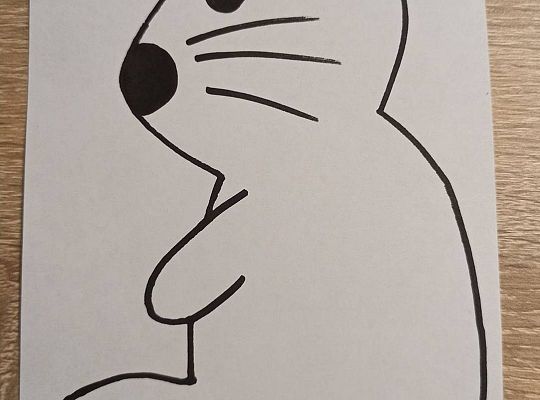 Gr II Fotorelacja z pracy w domu