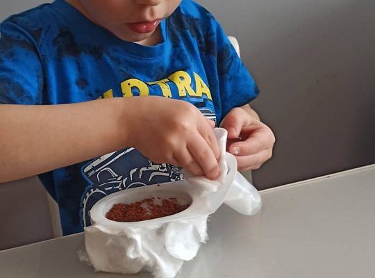 Gr II Fotorelacja z pracy w domu